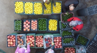Mersin'den Avrupa'ya nar, limon ve avokado ihracatı