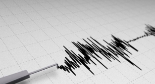 Muğla, Bodrum açıklarında meydana gelen 4,1 büyüklüğündeki deprem sonrası açıklama!