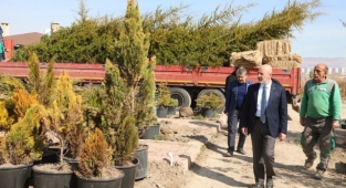 BAŞKAN ÇOLAKBAYRAKDAR, “YEŞİLLENDİRME ÇALIŞMALARIYLA ŞEHRİMİZİ DAHA DA GÜZELLEŞTİRECEĞİZ”