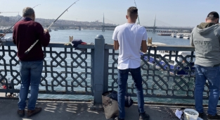 Boğaz'da dikkat çeken istavrit bolluğu