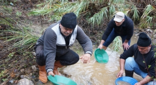 Buz gibi suda altın avı