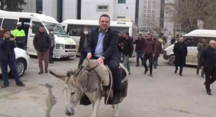 Eşekli protesto, başkanın sırtüstü yere düşmesi ile sona erdi