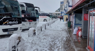 İstanbul'da şehirlerarası otobüs seferleri kontrollü olarak başladı