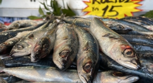 Kilosu 15 lira, kapış kapış satılıyor