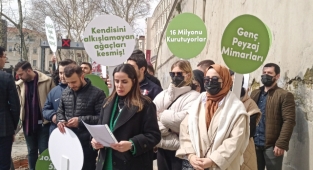 Mimari ve Şehircilik Platformu'ndan İBB'ye 'Çınar ağacı' tepkisi