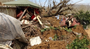 Ordu'da heyelan evleri yuttu: 3 ev ve bir ahır yıkıldı, inekler telef oldu