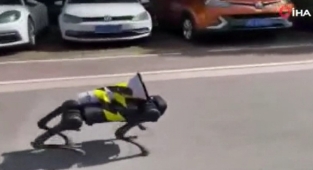 Şanghay'da sokaklarda dolaşan robot köpek gündem oldu