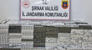 Şırnak'ta Kaçakçılık ve Asayiş Operasyonu: 99 gözaltı