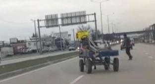 Sürücüsüz at arabası trafiği birbirine kattı