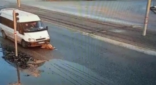 Yaralı köpeğe akıl almaz muamele