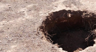 Alpler'de yapılan kazı bilim insanlarını heyecanlandırdı! Dünyanın en büyük canlısı olduğu düşünülüyor