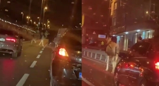 Avcılar'da ‘E-5 kovboyu' trafiği birbirine kattı