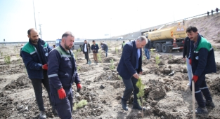 BÜYÜKŞEHİR, BAHARIN GELMESİ İLE FİDAN DİKİMİNE BAŞLADI