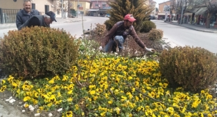 ÇİÇEKLERLE DONATILAN BÜNYAN, RENGARENK OLDU
