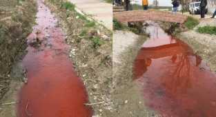 Dereyi kırmızıya boyayan fabrikaya en üst sınırdan ceza