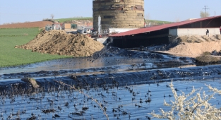 Edirne'de çevre katliamı: Tonlarca zift çevreye yayılıyor