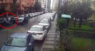 İki pitbullun saldırısından arabanın üstüne çıkarak kurtulabildi