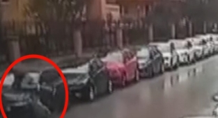 Maltepe'de Pitbullun saldırdığı vatandaş otomobilin üzerine çıkarak canını kurtardı!