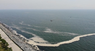 Marmara'da müsilaj kabusu yeniden yaşanabilir
