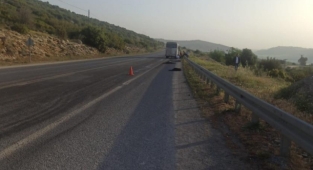Tarım işçilerini taşıyan minibüs sürüye çarptı: 15 küçükbaş hayvan telef oldu