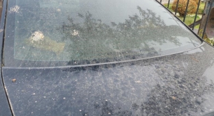 Tekirdağ'da 3 gündür çamur yağıyor
