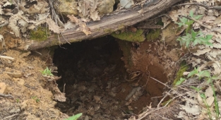 Tunceli'de Eren Kış-23 operasyonlarında 3 sığınak imha edildi