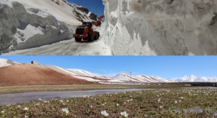 Van'ın iki güzel yüzü, bir taraftan kardelenler açarken, diğer taraftan ise metrelerce kar ile mücadele
