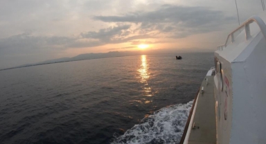 Ayvalık'ta 38 düzensiz göçmen yakalandı!