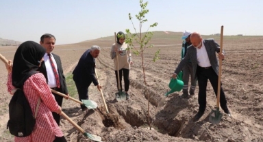 Başkan çolakbayrakdar’dan vatandaşlara ağaçlandırma çağrısı
