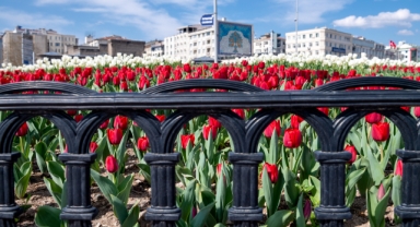 Büyükşehir, Kayseri’yi Çiçek Bahçesine Dönüştürüyor, 1 Milyon Çiçeği Toprakla Buluşturuyor