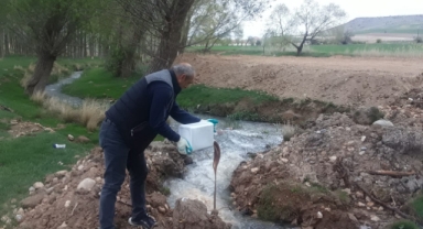SİNEKLENMEYİ ÖNLEMEK İÇİN BELİRLENEN BÖLGELERDE İLAÇLAMA YAPILDI