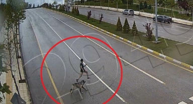 Sokak köpeğinden kaçarken düşen çocuk ağır yaralanmıştı, o anlar kamerada