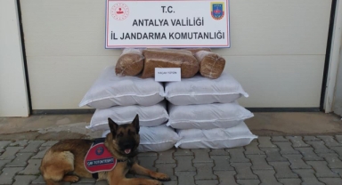 Yolcu otobüsünde 210 kilogram kaçak tütün ele geçirildi