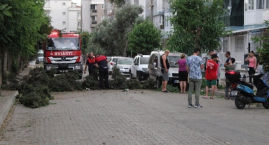 Aydın'da 20 dakikalık fırtına ortalığı birbirine kattı