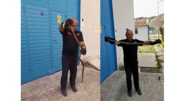 Depoya giren yılan ekipleri harekete geçirdi