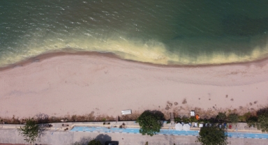 Karadeniz'deki renk değişimi ‘Polen' kaynaklı