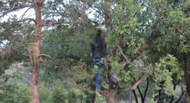 Kayseride Tüyler Ürperten Olay Genç Adamın Cesedi Ağaca Asılı Halde Bulundu