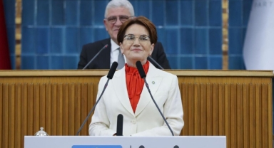 Meral Akşener'den TÜİK yönetimine 'Şerefinizle istifa edin' çağrısı Hazine Bakanı Nebati'ye 'bostan korkuluğu musun?'