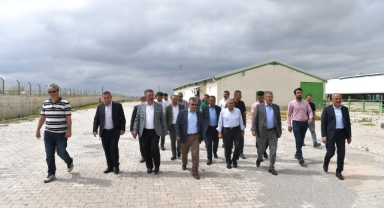 Başkan Büyükkılıç'tan Felahiye'de Hayvancılığa Yeni Hamle
