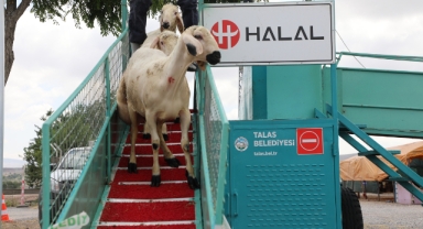 Belediye Yıkıyor, Kurbanlıklar Görücüye Çıkıyor
