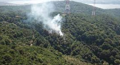 Beykoz'da ormanlık alanda yangın!