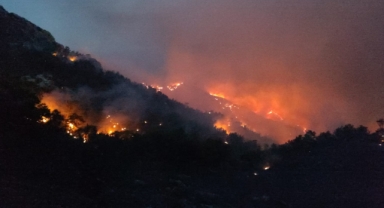 Datça'da orman yangını! Ekiplerin müdahalesi sürüyor!