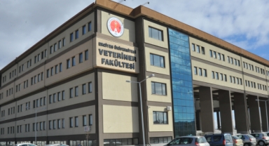 ERÜ Hayvan Hastanesi, 2022 yılının ilk yarısında 9 bin 330 hasta kabul etti!