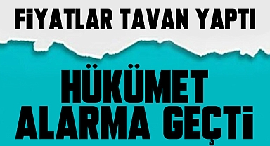 Fiyatlar tavan yaptı harekete geçtiler