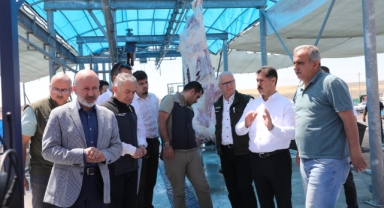 Kayseri Kocasinan'da kurban kesim ve satış yeri incelendi