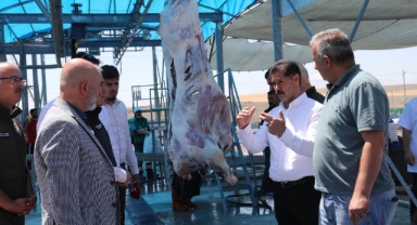 KOCASİNAN’DAN 12 AYRI NOKTADA PROFESYONEL KURBAN HİZMETİ
