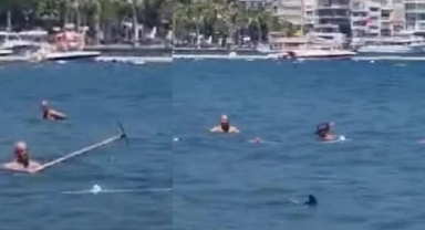 Marmaris sahilinde köpek balığı görüldü!