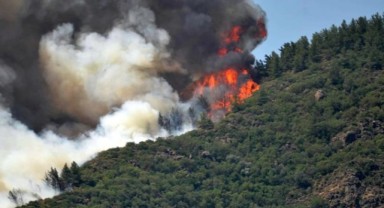 Marmaris'te orman yangını! Havadan müdahale ediliyor!