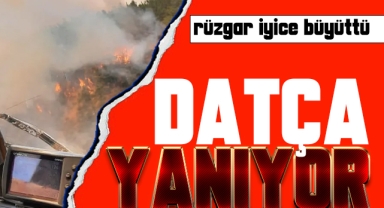 Orman yangını rüzgar nedeniyle kısa sürede yayıldı!