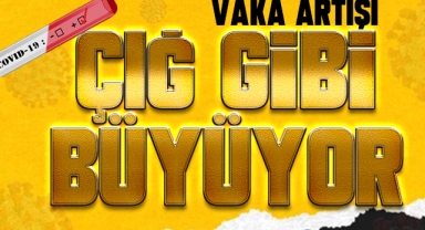 Vaka sayısı artışı ürküttü